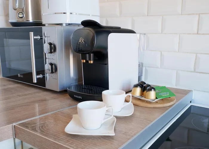 Renting - Bellevue - Chic Elegant Refuge Residential Area Liberation Apartament *